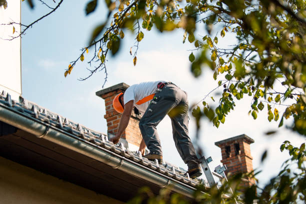 Quick and Trustworthy Emergency Roof Repair Services in Irwin, SC